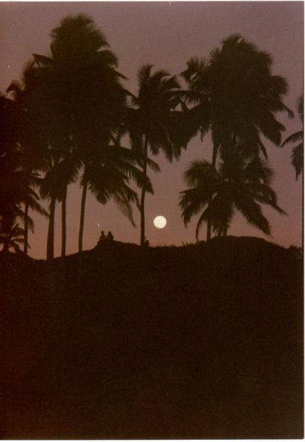 enjoying the moon rise.jpg