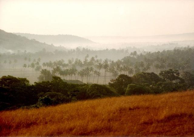 New Years Mornings view into the valley.jpg