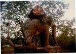 climbing the elephant.jpg